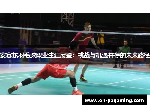 安赛龙羽毛球职业生涯展望：挑战与机遇并存的未来路径