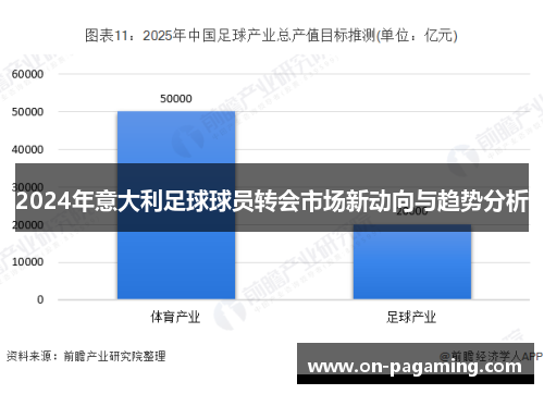 2024年意大利足球球员转会市场新动向与趋势分析