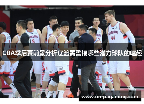 CBA季后赛前景分析辽篮需警惕哪些潜力球队的崛起
