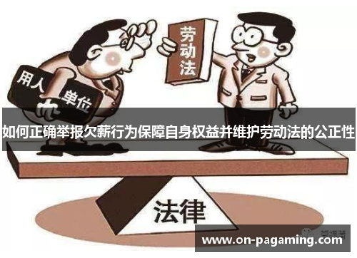 如何正确举报欠薪行为保障自身权益并维护劳动法的公正性