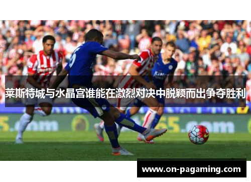 莱斯特城与水晶宫谁能在激烈对决中脱颖而出争夺胜利