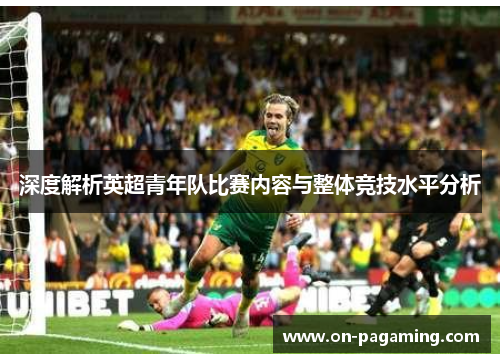 深度解析英超青年队比赛内容与整体竞技水平分析
