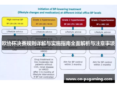 欧协杯决赛规则详解与实施指南全面解析与注意事项