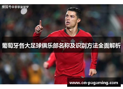 葡萄牙各大足球俱乐部名称及识别方法全面解析