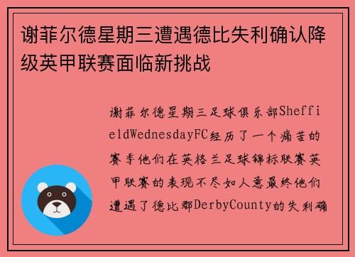 谢菲尔德星期三遭遇德比失利确认降级英甲联赛面临新挑战